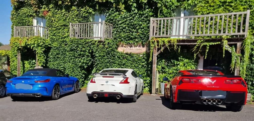 Domaine Des Pecheries Montel-de-Gelat Dış mekan fotoğraf